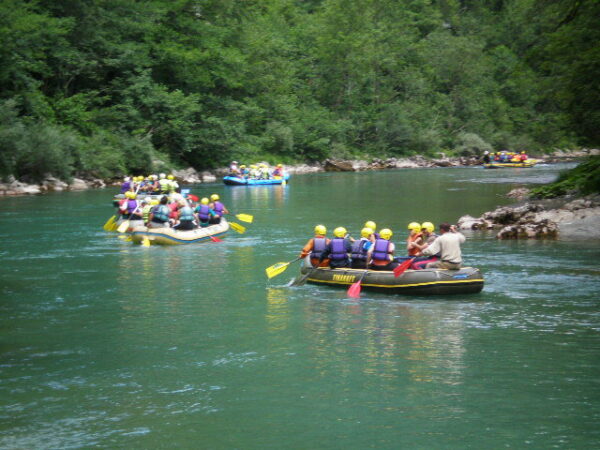 Luka Rafting ŽUGIĆA LUKA – Rafting Tara – Goran Leković – Triftar